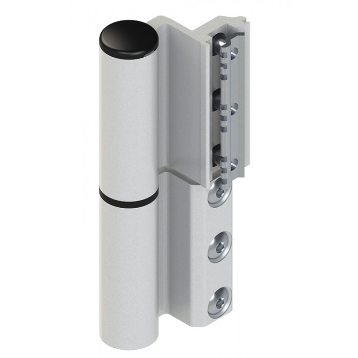 Celera Door Hinge